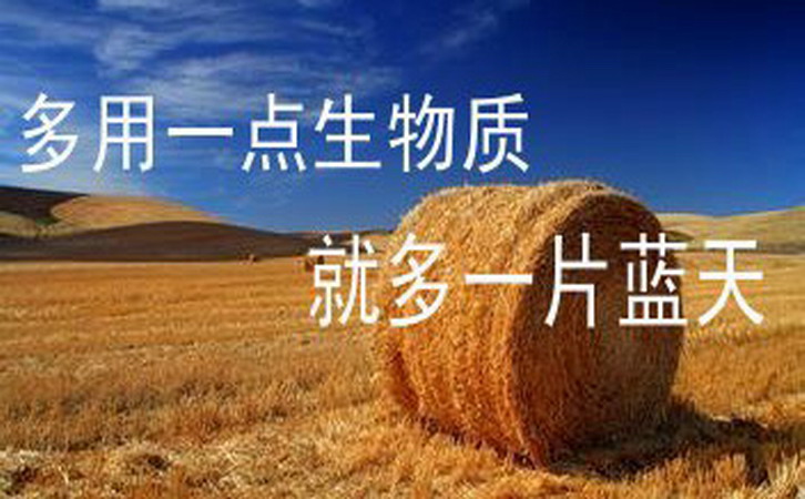 合理利用生物質能是實現“碳中和”的重要舉措